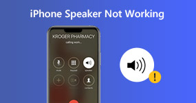Fix iPhone Speaker not Working