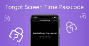 Forgot Screen Time Passcode