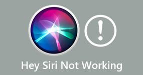 Hey Siri Not Working