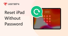Come resettare iPad senza password