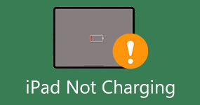 iPad Not Charging