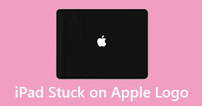iPad 卡在 Apple 上