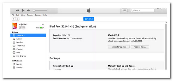 iPad Update Using iTunes