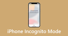 Modalità di navigazione in incognito dell'iPhone