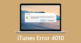 ITunes Error 4010