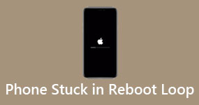Phone Stuck in Reboot Loop