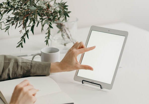 Sådan deler du lyd på Airpods iPad White