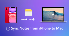 Sync Notes