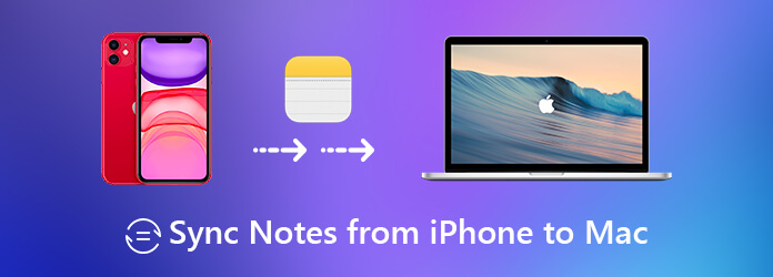 Sync Notes