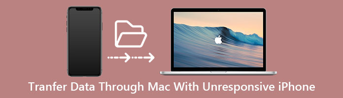 Yanıt Vermeyen iPhone ile Mac Üzerinden Veri Aktarın