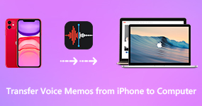 Trasferisci memo vocali da iPhone a computer