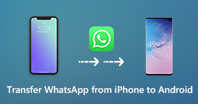 WhatsApp ve Ekleri iPhone'dan Android'e Aktarın