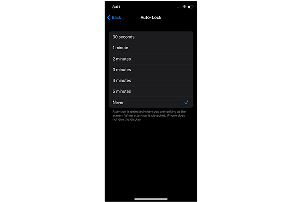 Turn Off Auto Lock on iPhone IOS6 Lower
