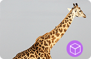Konvertera 3D-videor