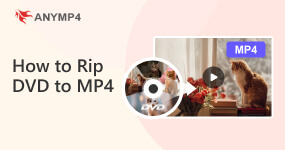 Convert DVD to MP4