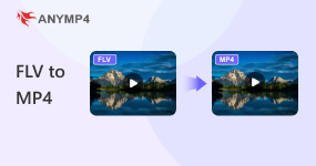 Convert FLV To MP4