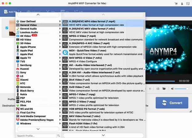 Scegli il formato di output