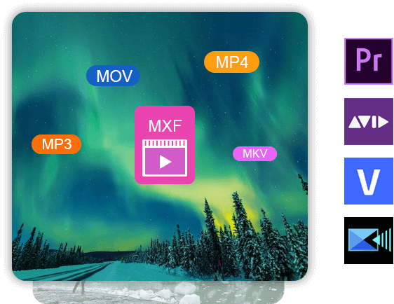 Aggiungi MXF al software di editing video su Mac