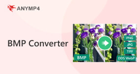 Convertitore BMP