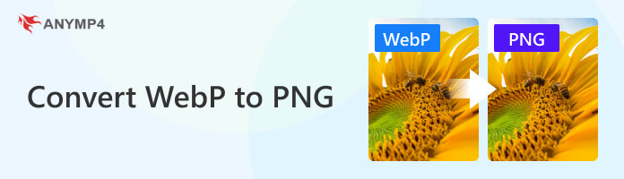 WEBP'yi PNG'ye dönüştür