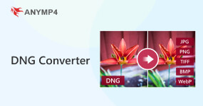 Convertitore DNG