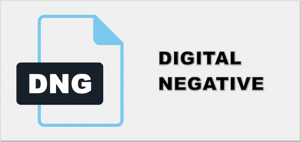 DNG File Format