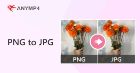 PNG to JPG konverter
