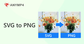 SVG para PNG