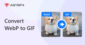Converti WEBP in GIF