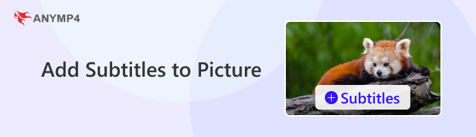 Add Subtitles to Picture