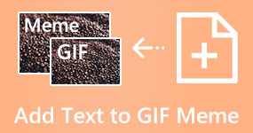 Lägg till text till GIF-meme