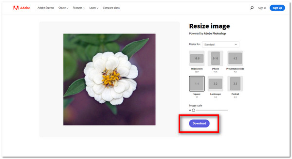 Adobe Express Download Image