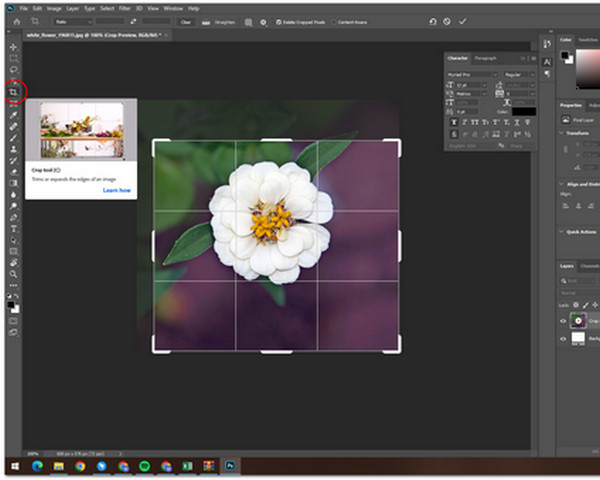 Adobe Photoshop oříznutí fotografie