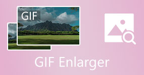 Animated GIF Enlarger