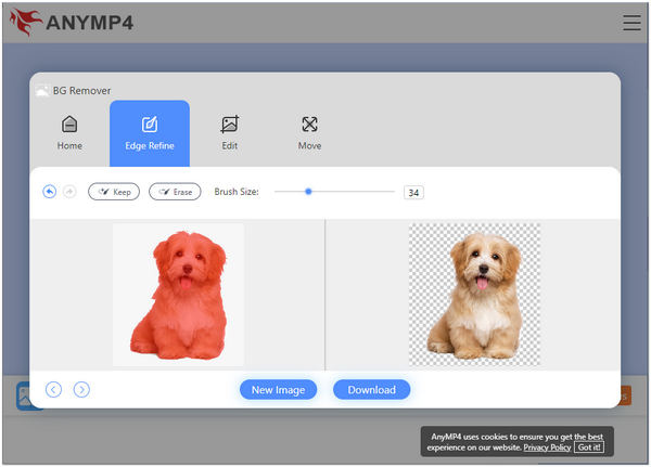 Poista kuvan tausta GIMP AnyMP4 -latauksessa