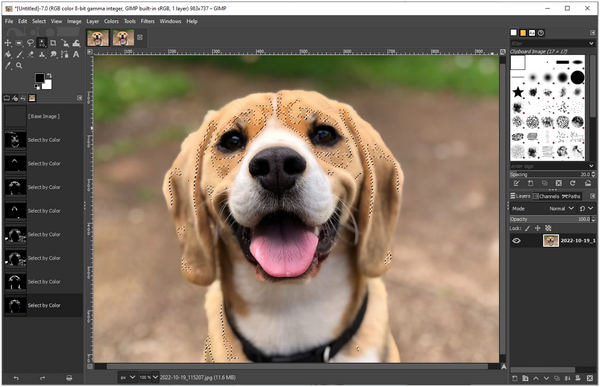 Delete Image Background in GIMP Color Tool