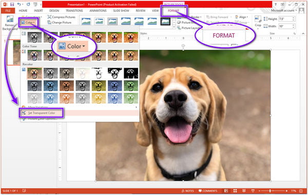 Modifica lo sfondo dell'immagine in PowerPoint Rendi lo sfondo nuovo trasparente