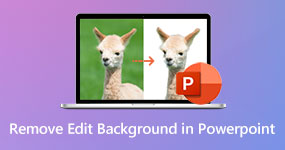 Edit Image Background in Powerpoint