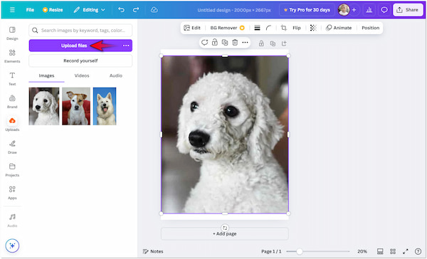 Upload The Image