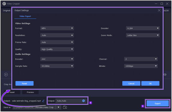 AnyMP4 Video Cropper offline exporteren