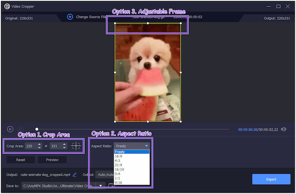 Opzioni offline di AnyMP4 Video Cropper