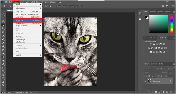 Photoshop Image Tab