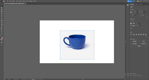 Interface de imagem ampliada do Adobe Illustrator