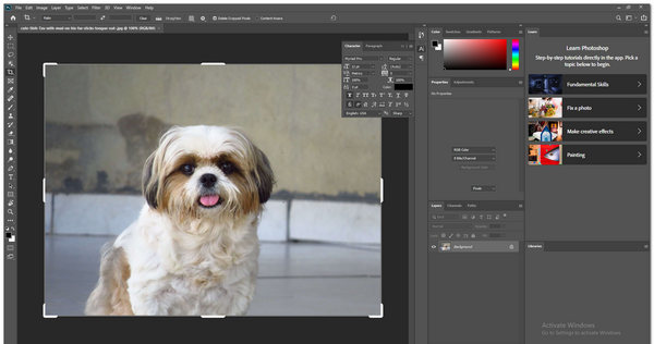 Interface de imagem ampliada do Adobe Photoshop