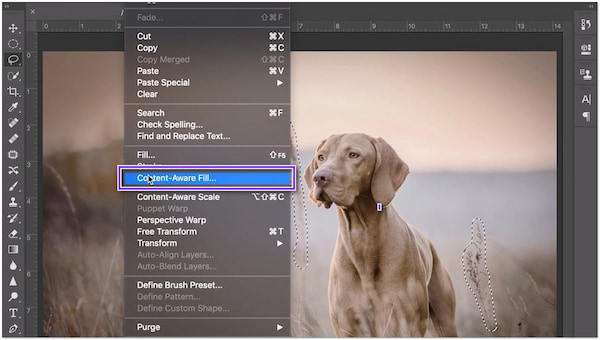 How to Erase Object from Background Photoshop