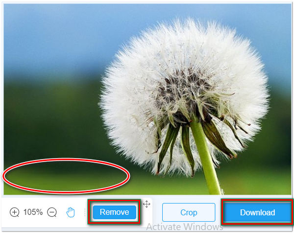 Remove Date Stamp from Pictures Download