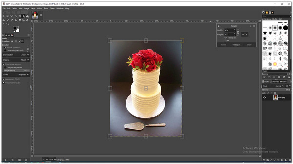 Gimp Resize Image