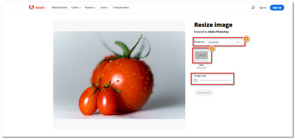 Adobe Express Set Size Resize Photo for Facebook