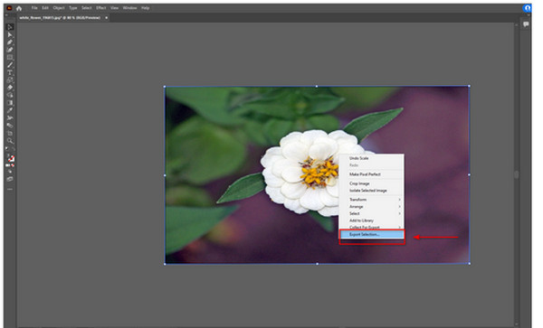 Adobe Illustrator Export Selection