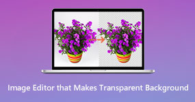 Image Editor that Make Transparent Background